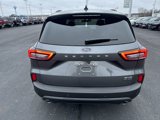 New 2025 Ford Escape ST-Line w/ Tech Pack #1 image 4
