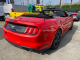 Used 2019 Ford Mustang Premium image 6