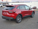 New 2025 Ford Escape ST-Line w/ Tech Pack #1 image 6
