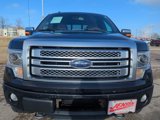 Used 2013 Ford F150 Platinum image 3