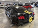 Used 2016 Ford Mustang Premium w/ Equipment Group 201A image 5