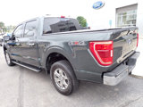 Used 2021 Ford F150 XLT w/ Equipment Group 302A High image 3