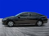 Used 2023 Hyundai Elantra SEL w/ Convenience Package image 6