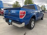 Used 2014 Ford F150 XLT w/ Equipment Group 301A Mid image 6