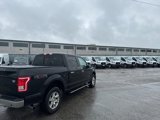 Certified 2016 Ford F150 XLT w/ Equipment Group 302A Luxury image 6