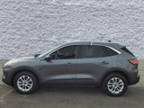 Certified 2022 Ford Escape SE image 4