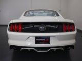 Used 2015 Ford Mustang 50 Years image 4