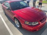 Used 2001 Ford Mustang Cobra image 3
