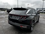 Used 2023 Hyundai Tucson SEL image 5