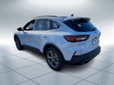 New 2025 Ford Escape ST-Line w/ Tech Pack #1 image 4