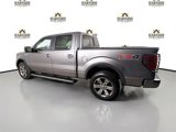 Used 2014 Ford F150 FX4 w/ Equipment Group 402A Luxury image 5