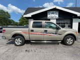 Used 2009 Ford F150 XL image 2