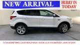 Used 2019 Ford Escape Titanium image 2