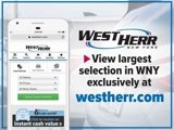 Certified 2023 BMW X1 xDrive28i w/ Convenience Package image 2