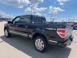Used 2011 Ford F150 Platinum image 5