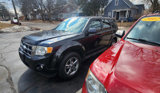 Used 2011 Ford Escape XLT w/ 201A Rapid Spec Order Code image 6