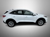 Used 2021 Ford Escape SE w/ Convenience Package image 4
