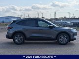 New 2025 Ford Escape ST-Line w/ Tech Pack #1 image 5