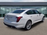Used 2023 Cadillac CT5 Premium Luxury w/ Parking Package image 3