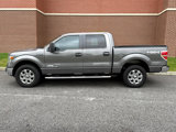 Used 2014 Ford F150 XLT w/ Equipment Group 302A Luxury image 6