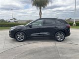 Used 2023 Ford Escape ST-Line image 5
