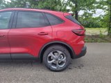 New 2025 Ford Escape ST-Line image 6