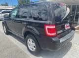 Used 2011 Ford Escape XLT w/ 203A Rapid Spec Order Code image 3