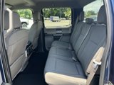 Used 2020 Ford F150 XLT w/ Equipment Group 302A Luxury image 5