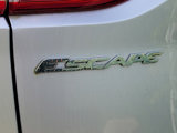 Used 2016 Ford Escape SE w/ SE Cold Weather Package image 4
