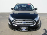 Used 2020 Ford EcoSport SE image 3