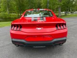 Certified 2024 Ford Mustang Coupe image 5
