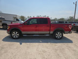 Used 2009 Ford F150 FX4 image 5