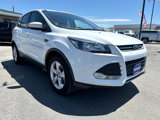 Used 2014 Ford Escape SE image 6