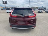 Used 2019 Honda CR-V Touring image 5
