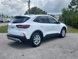 Used 2024 Ford Escape Active w/ Tech Pack #2 image 4