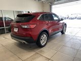 Used 2022 Ford Escape SE w/ Convenience Package image 4