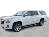 Certified 2019 Cadillac Escalade ESV Luxury image 4