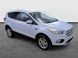 Used 2019 Ford Escape SE image 5