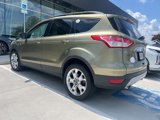 Used 2013 Ford Escape SEL image 2