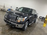 Used 2010 Ford F150 XLT image 2