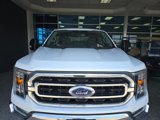 Certified 2022 Ford F150 XLT w/ Equipment Group 302A High image 2