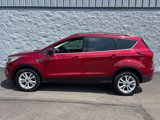 Used 2019 Ford Escape SEL image 1