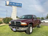 Used 2001 Dodge Dakota SLT image 4