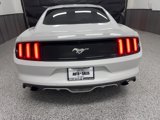Used 2015 Ford Mustang Premium w/ Equipment Group 201A image 4
