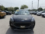 Used 2022 Ford Escape SE image 3