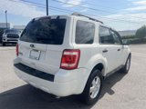 Used 2010 Ford Escape XLT image 5