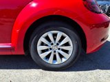 Used 2019 Volkswagen Beetle 2.0T S image 4