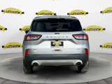 Used 2020 Ford Escape SE image 5