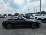 Used 2022 Ford Mustang Premium image 3