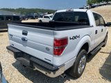 Used 2014 Ford F150 XLT w/ Equipment Group 302A Luxury image 4
